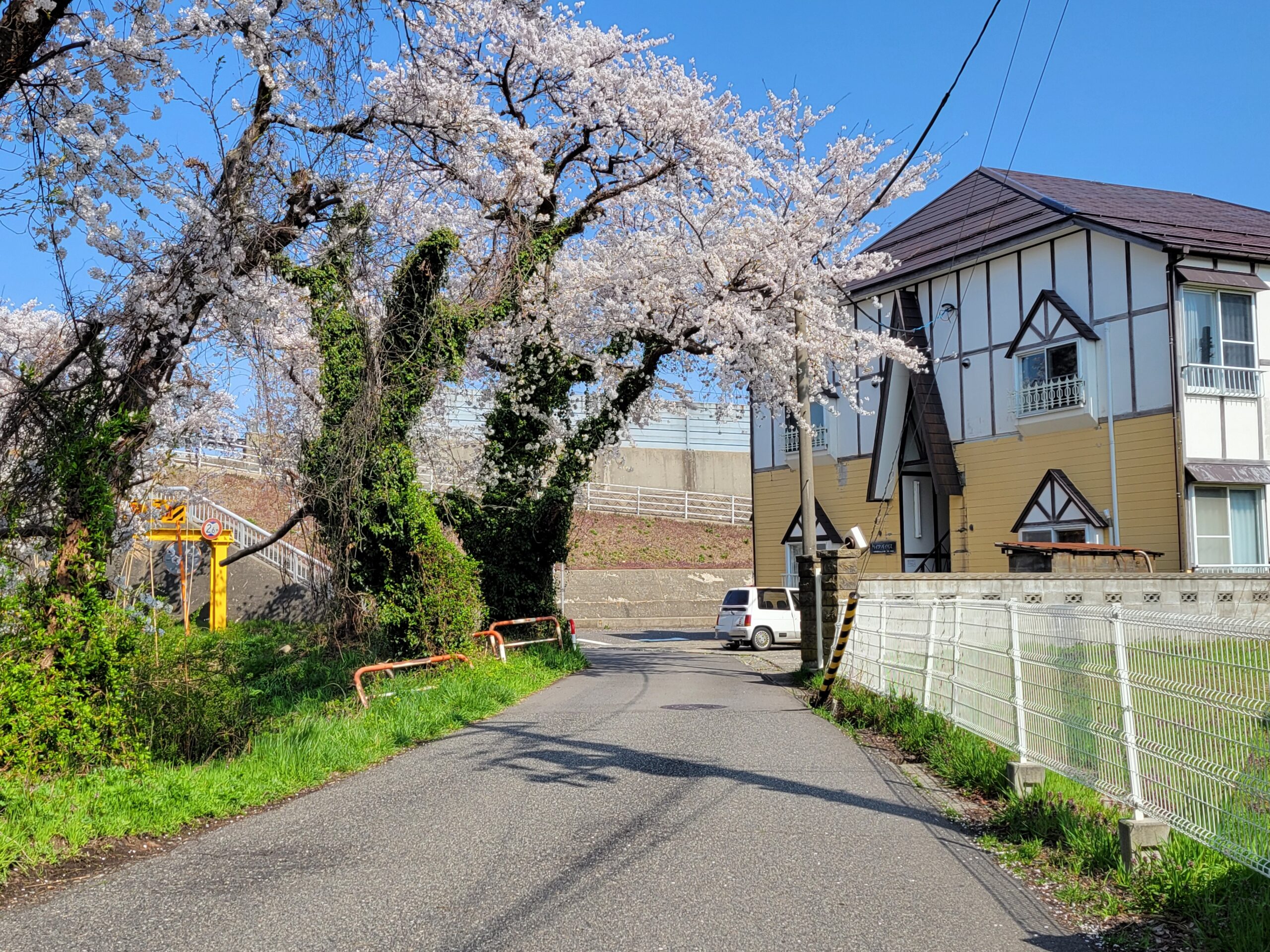物件情報画像
